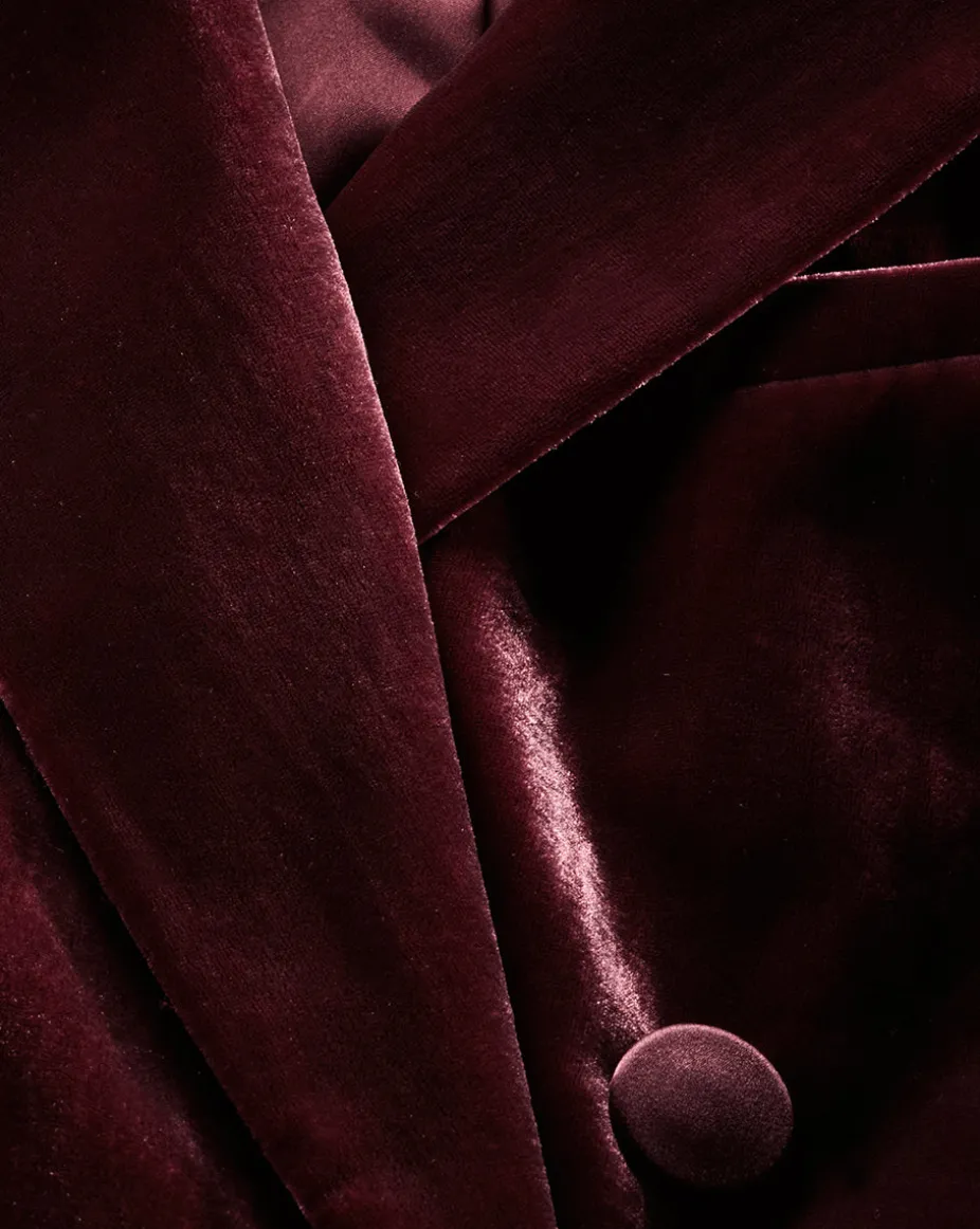 Ellette Dickey Jacket in Wine