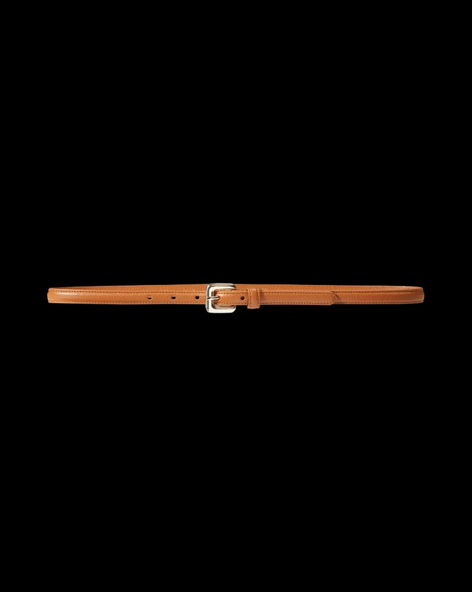Gloriosa Belt in Brown/Gold